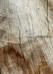 风化木纹特写，自然岁月的痕迹