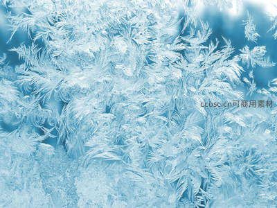 冰晶绽放的冬日窗花特写