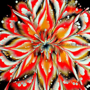 烈焰红花抽象绽放