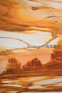 橙金色调倒影中的树林剪影