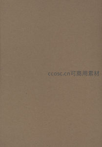 纯色哑光棕色纸张表面