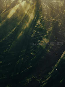 深绿抽象几何光影