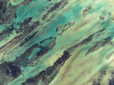 航拍视角下的翡翠滩涂