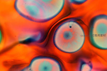 橙红背景下的彩色细胞结构