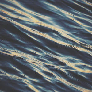 波光粼粼的水面特写