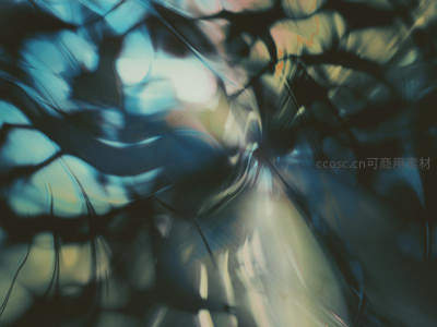 幽暗光影：模糊树影下的神秘氛围