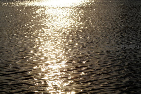 金色阳光洒满湖面，闪耀如碎金般璀璨