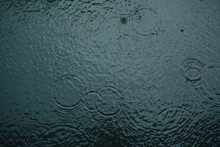雨滴轻落水面，圈圈涟漪扩散成诗意画面
