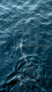 深海鱼跃出水面激起的漩涡