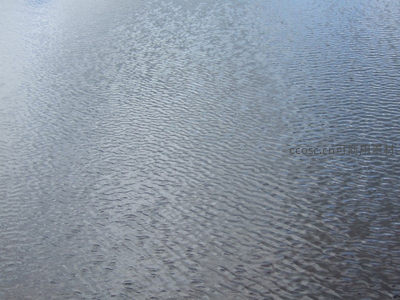 水面波纹细腻如丝绸般柔滑