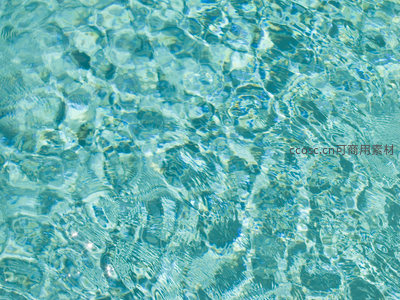 清澈碧水下的光影游戏