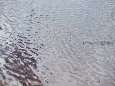 雨滴轻落水面，漾开圈圈涟漪