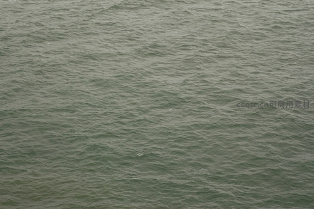 灰绿海面微澜，风过处波光粼粼