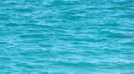 碧蓝海面微波荡漾生机盎然