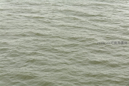 灰绿色水面微澜的静谧