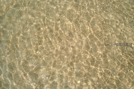 清澈浅滩，阳光穿透水面洒下金斑