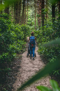 母亲推着婴儿车漫步林间小径