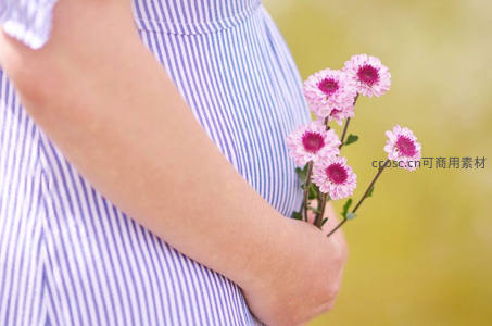 孕妇手捧粉色雏菊轻抚孕肚