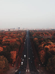 秋日柏林大道航拍，红叶夹道车流如织