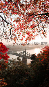 红叶掩映下的古桥与河流