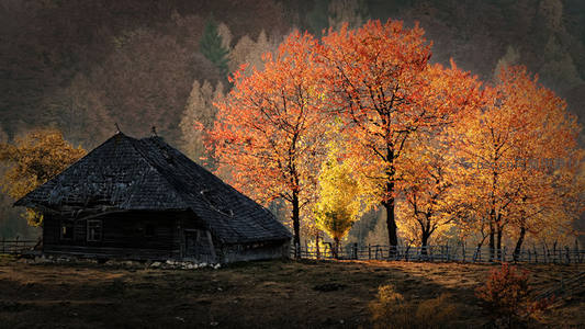 古屋旁秋树如火映霞