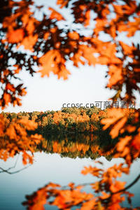 湖畔秋林倒影如画框