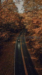 秋林公路骑行，落叶铺满路旁