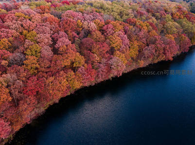 航拍视角下层林尽染的秋日河岸