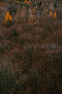 航拍视角下的秋日山林，层林尽染的壮阔画卷