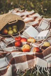 秋日野餐：苹果书本与格纹毯的惬意时光