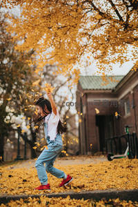 女孩欢跃抛洒银杏叶，童真笑容定格秋日
