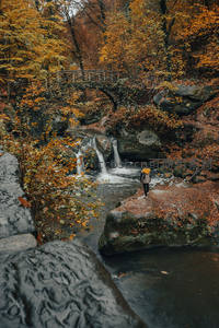 游人驻足溪畔，秋林飞瀑相映