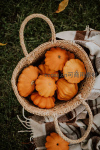 藤篮南瓜秋日野餐温馨场景