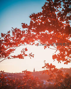 红叶框景，远眺小镇夕阳