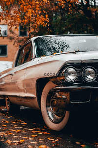 复古汽车停驻秋色，经典与自然交融