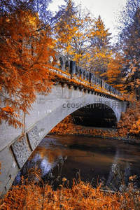 古桥秋景，拱桥横跨溪流映金叶