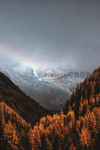 山谷彩虹横跨，秋林映雪峰巅