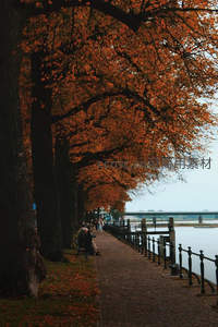 秋日河畔长廊，落叶铺就诗意小径