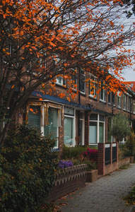 红砖小巷秋意浓，橙叶掩映老宅窗