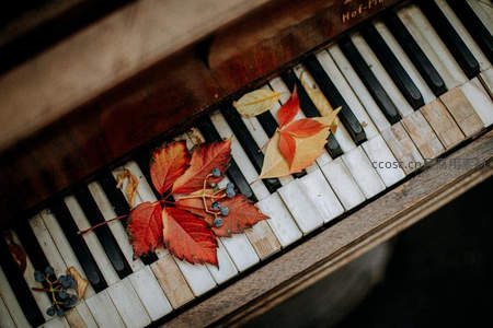 秋叶静卧旧钢琴键，时光凝固的诗意角落