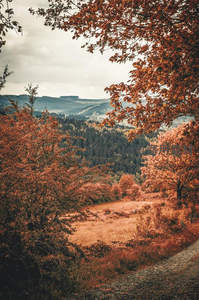 秋山远眺，层林尽染如画卷