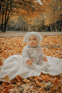 秋日落叶中穿兔装的可爱宝宝