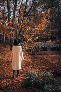 白衣女子漫步秋日林间小径