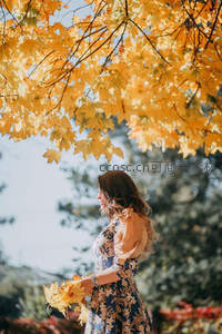 金黄枫叶下，女子侧影如画
