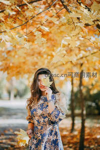 枫叶遮面笑靥如花，秋意正浓