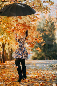 黑伞飞叶舞，秋日街头浪漫瞬间