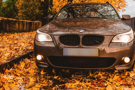 宝马车前落叶纷飞，秋意浓情正当时