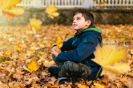 孩童坐拥落叶堆，手捧黄叶望远方