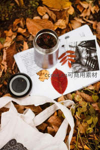 秋日野餐：落叶、咖啡与手账的惬意时光