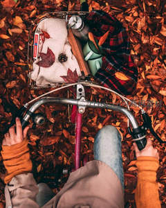 秋日骑行，落叶铺满车篮的温馨时光